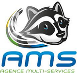 AMS Agence Multiservices